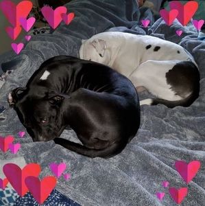 Meet your Posher, Patrick